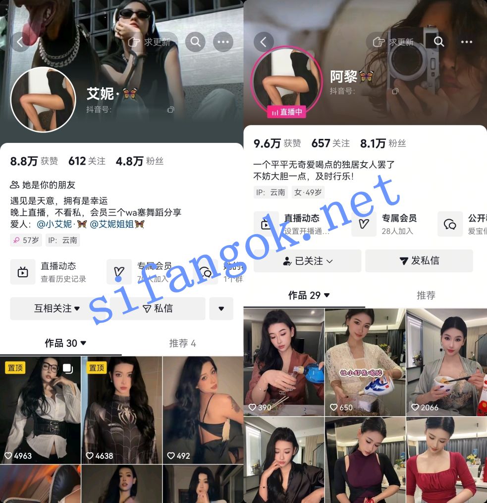 抖音黑皮美女-阿黎(艾妮)凌晨擦边舞蹈及会员小视频【13V】【1.85G】