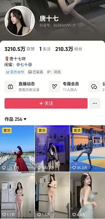 抖音200万粉顶级美女 唐十七 小内裤骚舞福利 微密丝滑原版